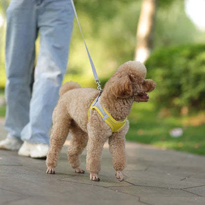 Dog Harness and Leash Set for Small Dogs