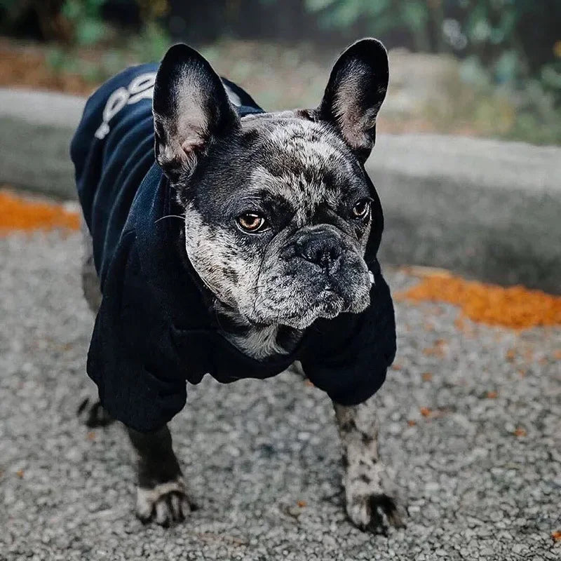 Dog Hoodies For Autumn and Winter Season