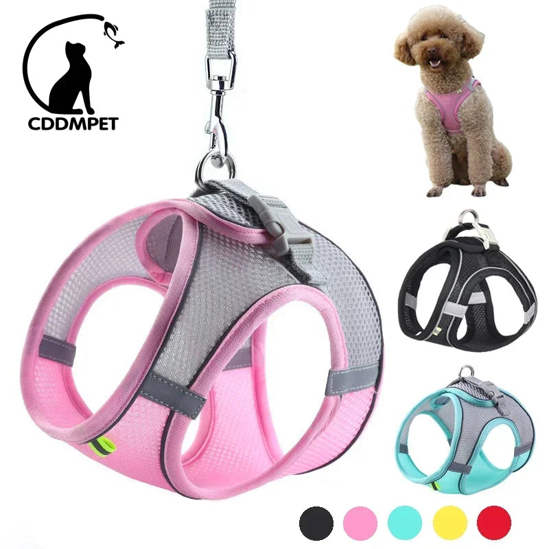 Dog Harness and Leash Set for Small Dogs