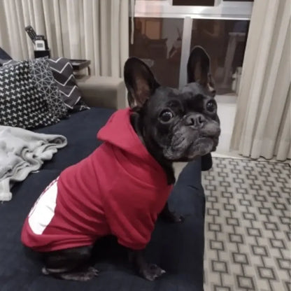 Dog Hoodies For Autumn and Winter Season