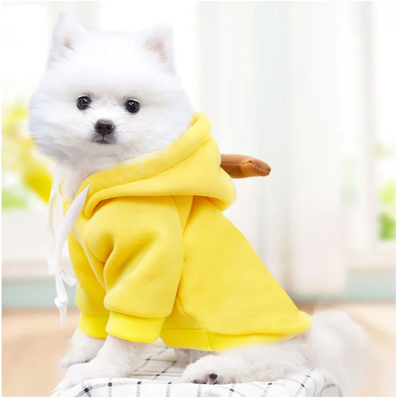 Cute Fruit Dog Clothes for Small Dogs