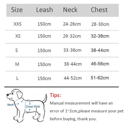 Dog Harness and Leash Set for Small Dogs