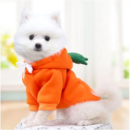 Cute Fruit Dog Clothes for Small Dogs