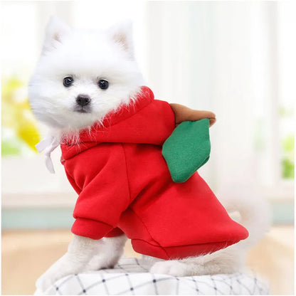 Cute Fruit Dog Clothes for Small Dogs