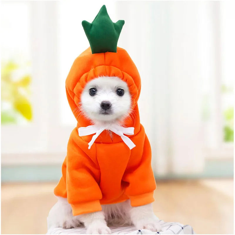 Cute Fruit Dog Clothes for Small Dogs