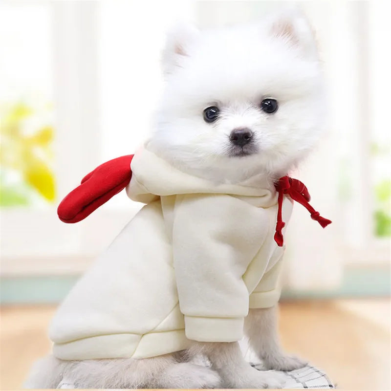 Cute Fruit Dog Clothes for Small Dogs