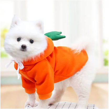 Cute Fruit Dog Clothes for Small Dogs