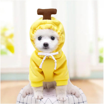 Cute Fruit Dog Clothes for Small Dogs