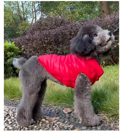 Double-Sided Dog Coat For Winters