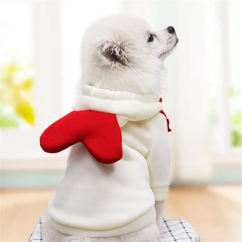 Cute Fruit Dog Clothes for Small Dogs