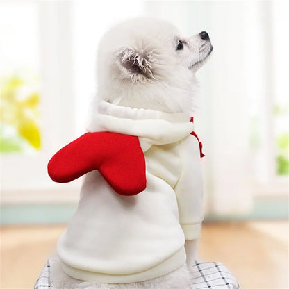 Cute Fruit Dog Clothes for Small Dogs