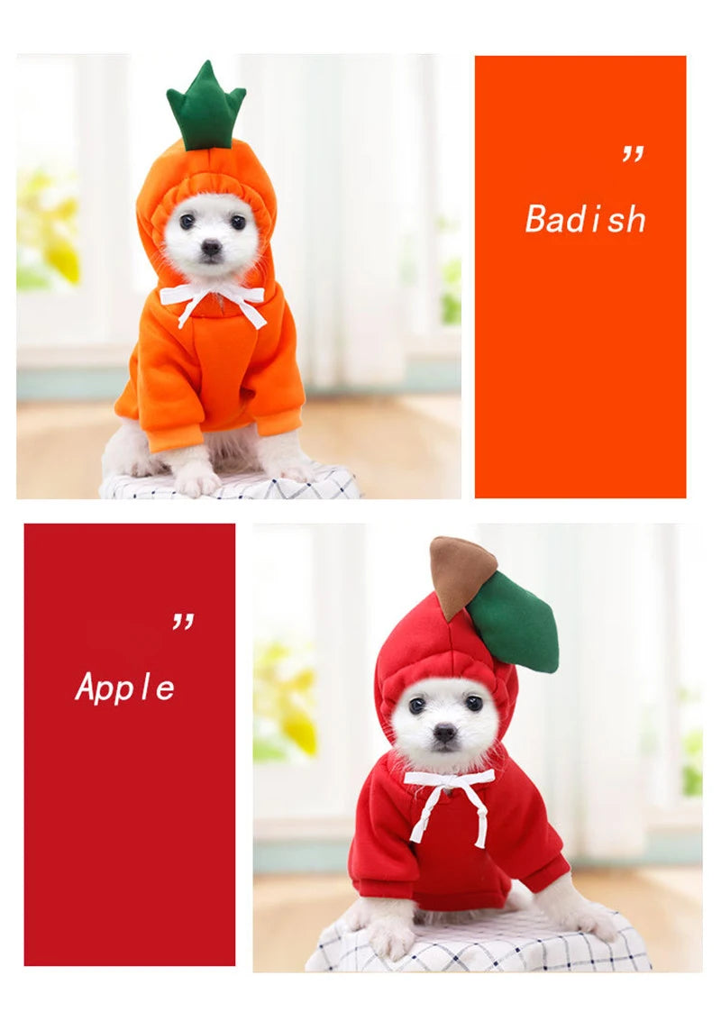 Cute Fruit Dog Clothes for Small Dogs