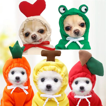 Cute Fruit Dog Clothes for Small Dogs