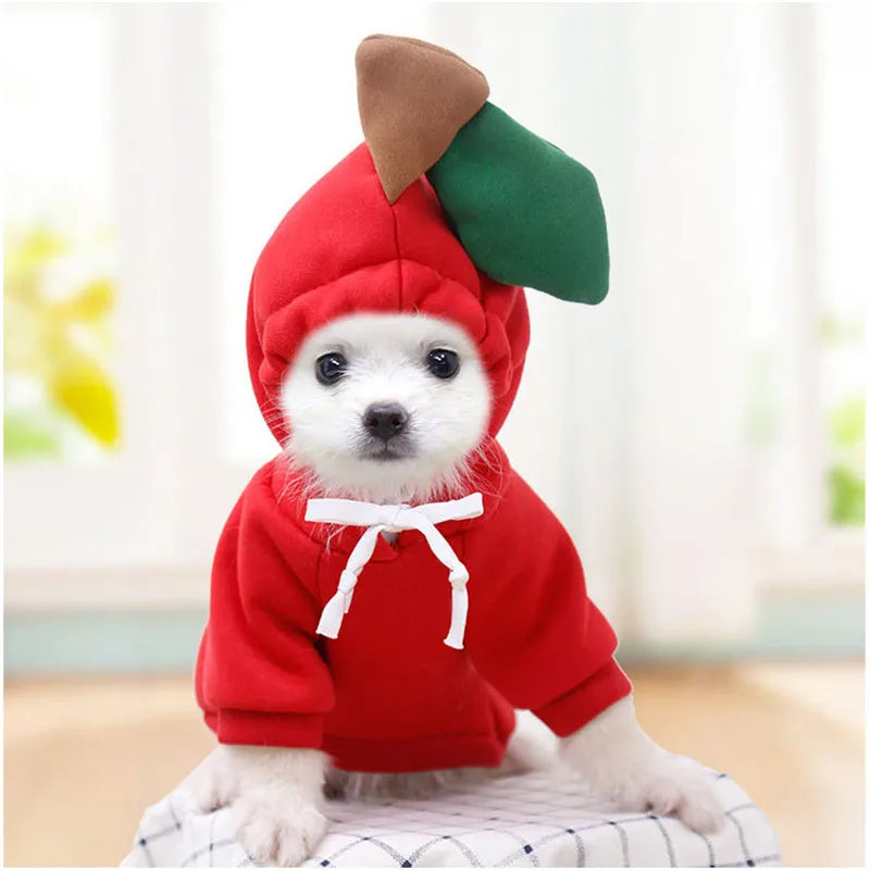 Cute Fruit Dog Clothes for Small Dogs