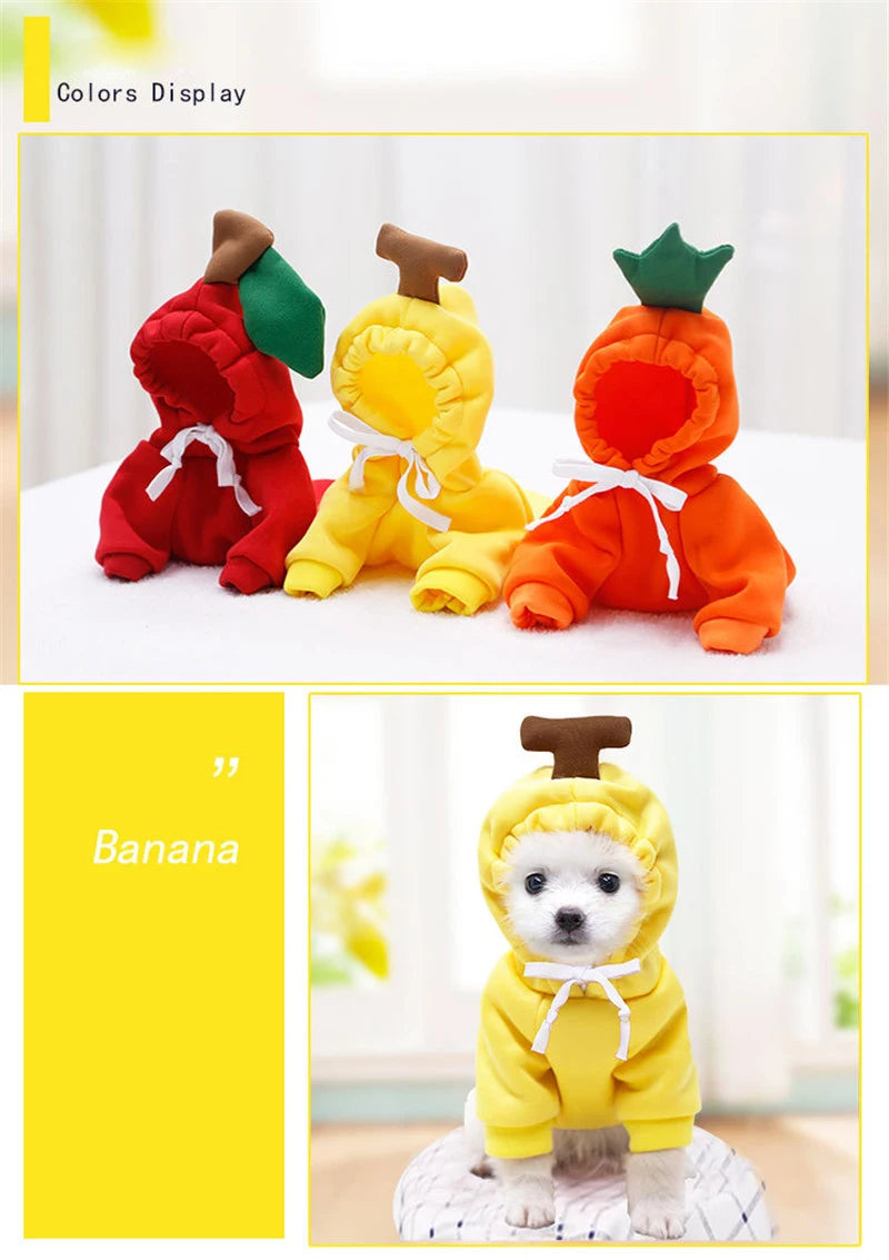 Cute Fruit Dog Clothes for Small Dogs